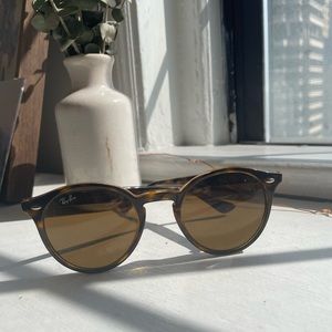 RAYBANS sunglasses